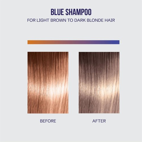 OLIGO PROFESSIONNEL - Blacklight Blue Shampoo - Sulfate-Free Formula for Blonde & Color Treated Hair - 8.5oz