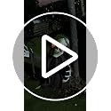 Outdoor Halloween Animatronic Zombie Groundbreaker with Light-up Eyes & Creepy Sound Effects