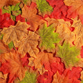 Fall Leaves Fake Autumn Maple Leaf Decor Set - 600 Pieces, A Colors