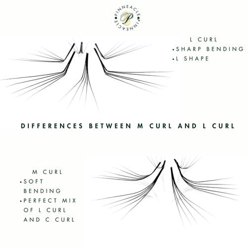 1200 Premade volume fans eyelash extension | 8 sizes-in-1 round mixed box | Includes lengths 9-16mm | C, CC, D, M, L curl| For professional lash artists | 6D Volume (L+ Curl 90°)