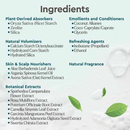 Puracy Natural Dry Shampoo - Plant-Powered Cleansing & Volumizing Formula | Citrus & Jasmine, 6 oz