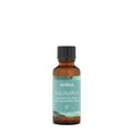 Aveda Eucalyptus Essential Oil - Fresh Aroma for Body & Bath | 1 Fl Oz