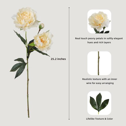KBREE Artificial Peonies - Lifelike Real Touch Flowers, 25.2" Cream White Stems for Bouquets & Arrangements