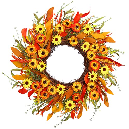 20-Inch Artificial Fall Wreath for Front Door with Autumn Flowers & Foliage