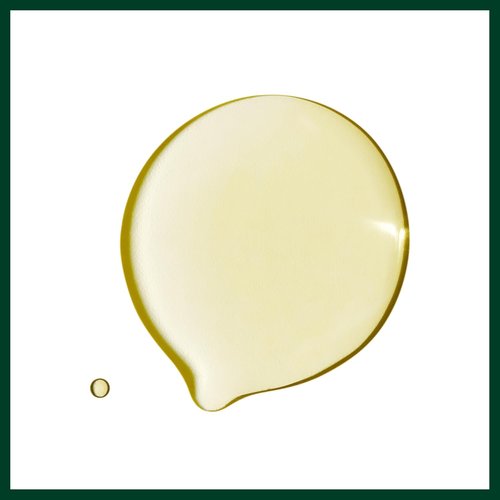 Aveda Dry Remedy Daily Moisturizing Oil - Instantly Hydrates Dry Hair | 90% Naturally Derived | 1 Fl Oz