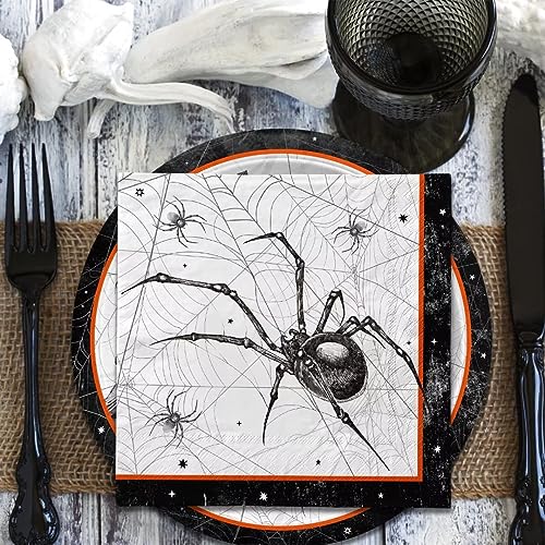 Halloween Spider Webs Party Supplies Set for 50 Guests with Plates & Napkins