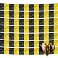 Black Gold Foil Fringe Garland 10 Pack - Metallic Tassel Banner for Parade & Party Decorations