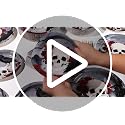 200PCS Halloween Gothic Skull Rose Party Supplies Plates Napkins Set