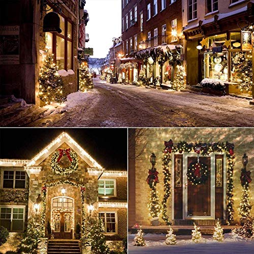 Christmas String Lights 50 Count 13ft Incandescent Bulb Mini Lights for Indoor Outdoor Decor
