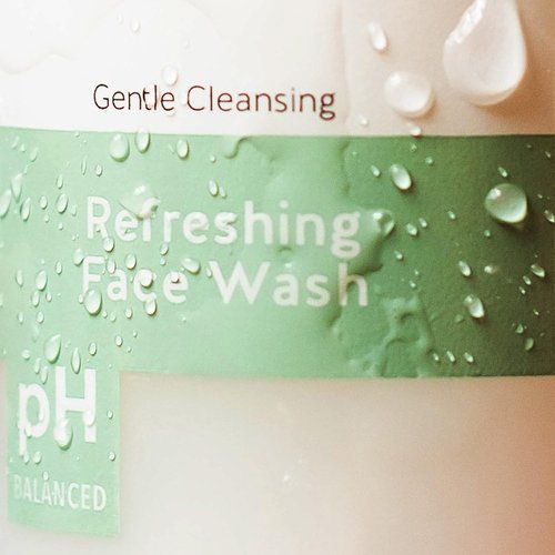 Alpha Skin Care Refreshing Face Wash, Gentle Soap-Free Formula, Citric AHA, Cleanses, Purifies, Tones & Restores pH, All Skin Types, Removes Make-Up & Oil, Anti-Aging Ingredients, 6 Oz, Pack of 2