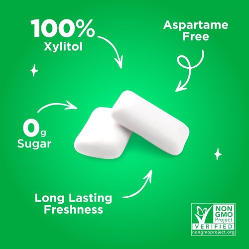 PUR Gum - Aspartame Free Chewing Gum | Natural Spearmint Flavor | 55 Pieces Pack