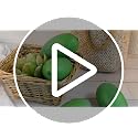 Fake Mango Decor Set - Lifelike Artificial Fruit for Home & Party Displays, 4 Pieces