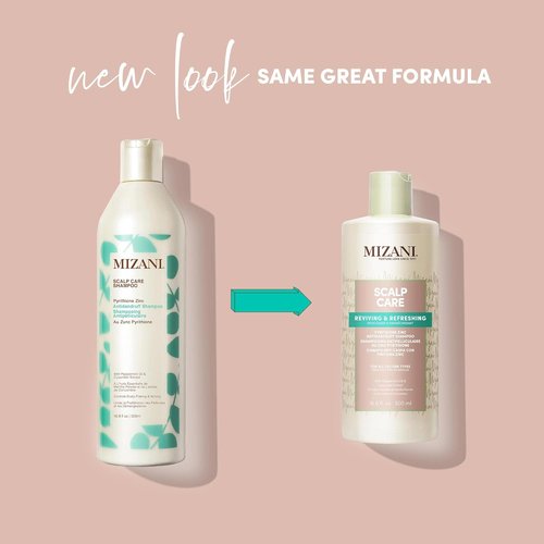MIZANI Scalp Care Dandruff Shampoo - Deep Cleansing Formula for Curly Hair & Scalp Relief