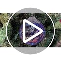 Crow Under Moonlight Holiday Ornament - Christmas & Halloween Glass Decoration - Gift Idea