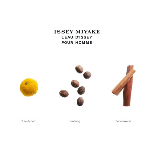 Issey Miyake L'Eau d'Issey Pour Homme Deodorant Stick - Comforting Scent with Yuzu & Sandalwood - 2.6 oz