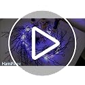 12 FT Black Twig Garland with Timer & Purple LED Lights – Halloween Decor 2 Pack