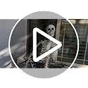 3Ft Halloween Skeleton Decorations - Realistic Skull & Fully Posable for Indoor & Outdoor Use - Medium Variation