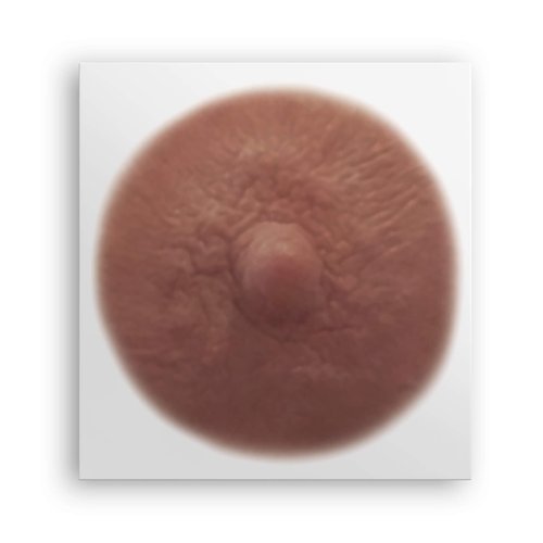 TataTattoos Temporary Realistic Nipple/Areola Tattoos – Non-Surgical for Mastectomy Recovery – for Post Breast Cancer Surgery (Olive, Medium (Pack of 20))