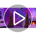Black Tinsel Halloween Tree with Lights, Pumpkins & Timer - Indoor Decor