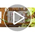 Rectangular Floral Butterfly Placemats Set of 4 - 12x18 Inches Beige Summer Decor