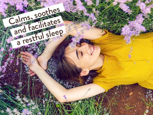 BABO Botanicals Calming Lavender Bubble Bath & Wash - Relaxing Chamomile & Lavender - EWG Verified | Vegan Friendly