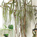 63 Inch Faux Willow Tree Branches with Hanging Moss for Halloween Decor