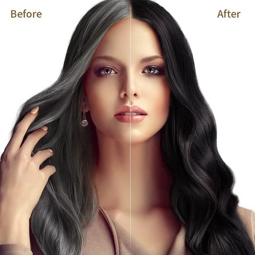 Regine Switzerland Black Hair Dye Shampoo - Herbal, Ammonia-Free Formula for 100% Gray Coverage | 16.9 Fl Oz
