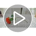 Artificial Orange Rose Flowers with Stems - 12 Pack, Realistic Silk Blooms