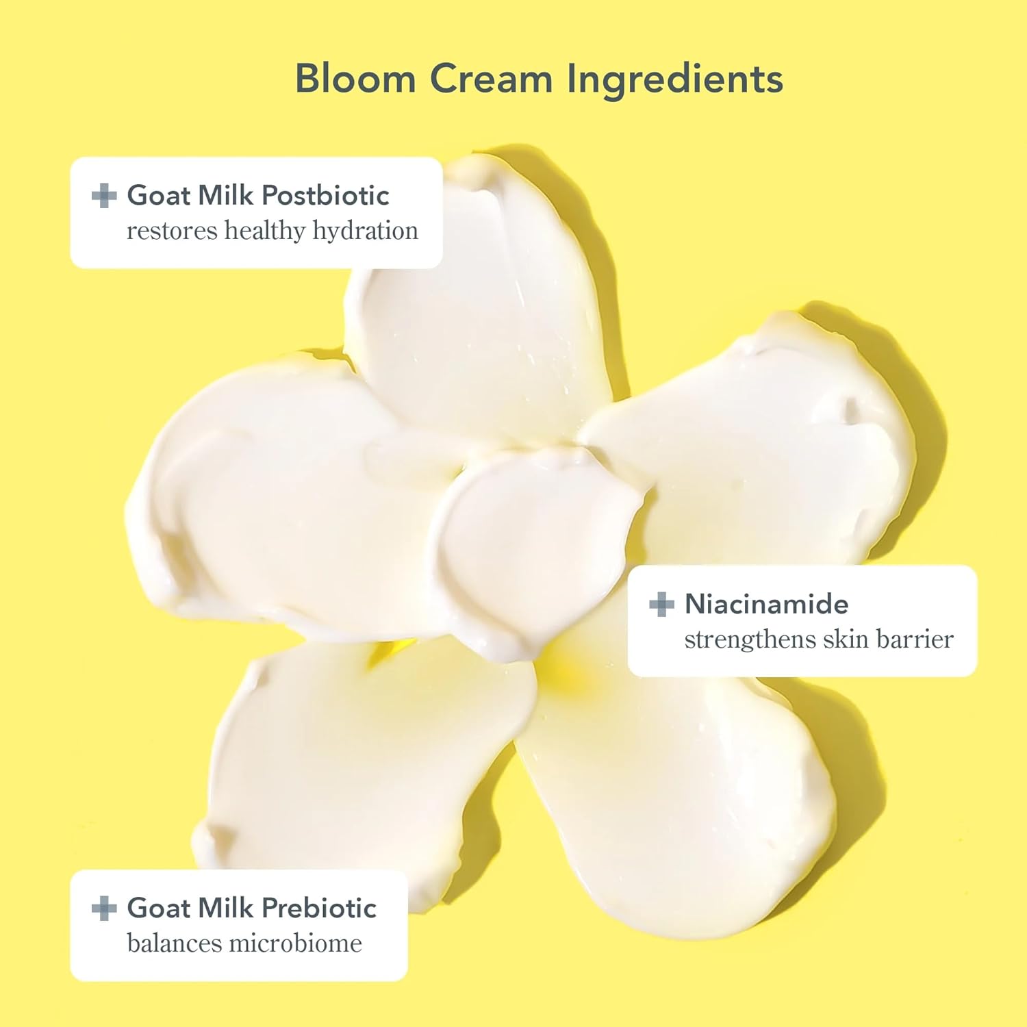 Beekman 1802 Hydrating Duo | Bloom Cream Daily Face Moisturizer & Oh! Mega Milky Oil – Radiant Skin, 1.69 oz & 1 fl oz