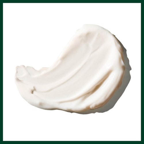 Aveda Botanical Kinetics Intense Hydrating Rich Creme - Nourishing Face Cream for Dry Skin | 1.7 Fl Oz