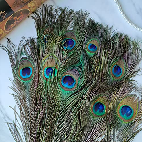Natural Peacock Feathers 35-40 Inch Bulk 24pcs for Wedding & Craft Decor - Variation of 35-40Inch-24pcs