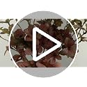 Artificial Fall Leaves Stems for Vases - 16 Inch Faux Autumn Branches, 6 Pack