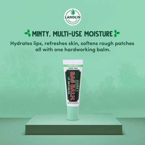 Vermont's Original Bag Balm Moisturizing Lip Balm with Vitamin E | Pack of 4 0.3oz Tubes (4 Pack, Fresh Mint)