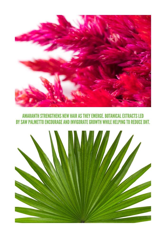 Surface Hair - Awaken Therapeutic Treatment - Natural Formula for Thinning Hair & Healthy Scalp
