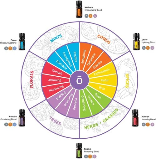doTERRA - Emotional Aromatherapy System Kit - Complete 6-Piece Bundle for Well-Being