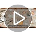 Artoid Mode 13x72 Inch Fall Table Runner Beige Home Decor Party Table Linen