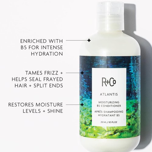 R+Co Atlantis Moisturizing B5 Conditioner - Hydrating & Nourishing for Dry, Damaged Hair | Vegan & Sulfate-Free