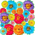 Large Paper Flower Wall Decorations - 51 Pack of Multicolor Tissue Pom Poms