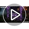 Purple Light Skeleton Stakes Halloween Decorations Outdoor Glowing Set with Purple Light