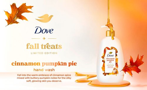 Dove Limited Edition Holiday Treats Liquid Hand Wash for Deep Nourishment Cinnamon Pumpkin Pie 12 oz