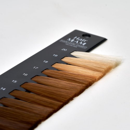 Hair Level Scale Chart Set Checking Brightness For Hair Salon and Hairdresser