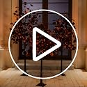 Halloween Decor Set - 4ft, 5ft & 6ft Black Maple Trees with LED Lighting & Ornaments (Variation of THIS listing)