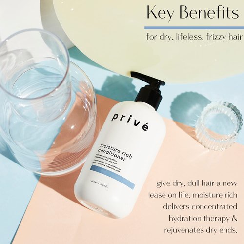 Prive Moisture Rich Conditioner - Nourishes Dry Hair & Smoothes Frizz | Organic Shea Butter (12 Oz)