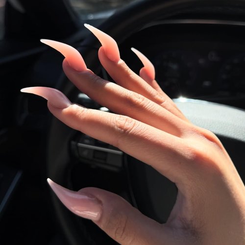 10 Pcs Handmade Medium Press on Nails Curved Stiletto Luxury Eagle Claw Nude Pink Nails Press Ons Full Cover Glossy Dragon Claw False Nails Reusable Acrylic Stick on Nail for Women（M）
