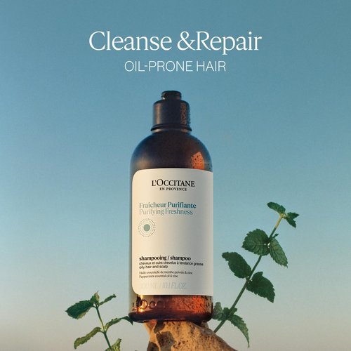 L'OCCITANE Purifying Freshness Shampoo - Reduces Excess Sebum for Normal to Oily Hair | Silicone-Free Refill Available