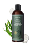 Aleavia Men's Body Cleanse - Organic Prebiotic Body Wash with 13 Essential Oils | Woodsy Scent - 16 Oz.