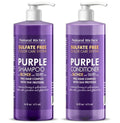 Natural Riches Purple Shampoo & Conditioner Set - Sulfate-Free, Color-Safe for Blonde & Gray Hair | 16 fl oz Each