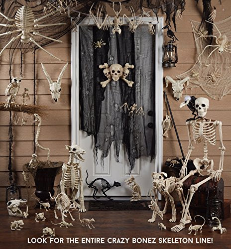 Skeleton Spider Halloween Decoration 20.5 x 12 Inches with Bendable Legs