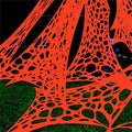Orange Giant Spider Web Set - 1400 Sqft Glow in The Dark Halloween Decorations with Blacklights