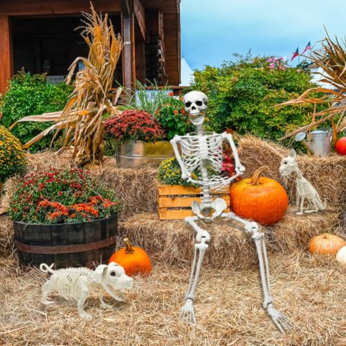 5.4ft Halloween Full Size Skeleton with Dog and Cat — Haunted Party Decor